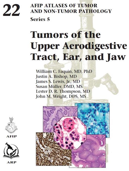 Jaw | Tumors of the Upper Aerodigestive Tract, Ear, and Jaw | Books ...